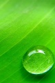 Thumbnail for version as of 11:14, August 2, 2012