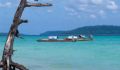 Thumbnail for version as of 01:58, March 5, 2026