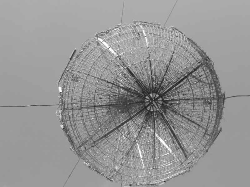 File:6561 10151272750691786 499536998 n.jpg